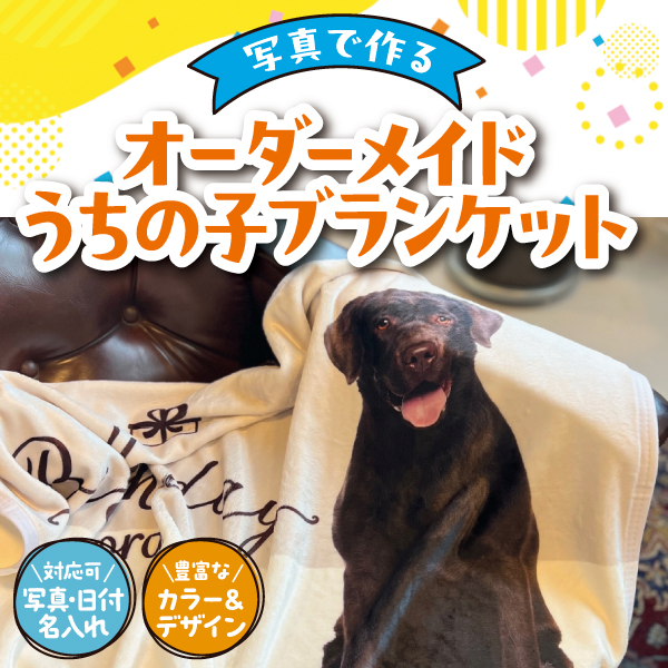 ペット　ブランケット　可愛い可愛いうちの子に包まれたい