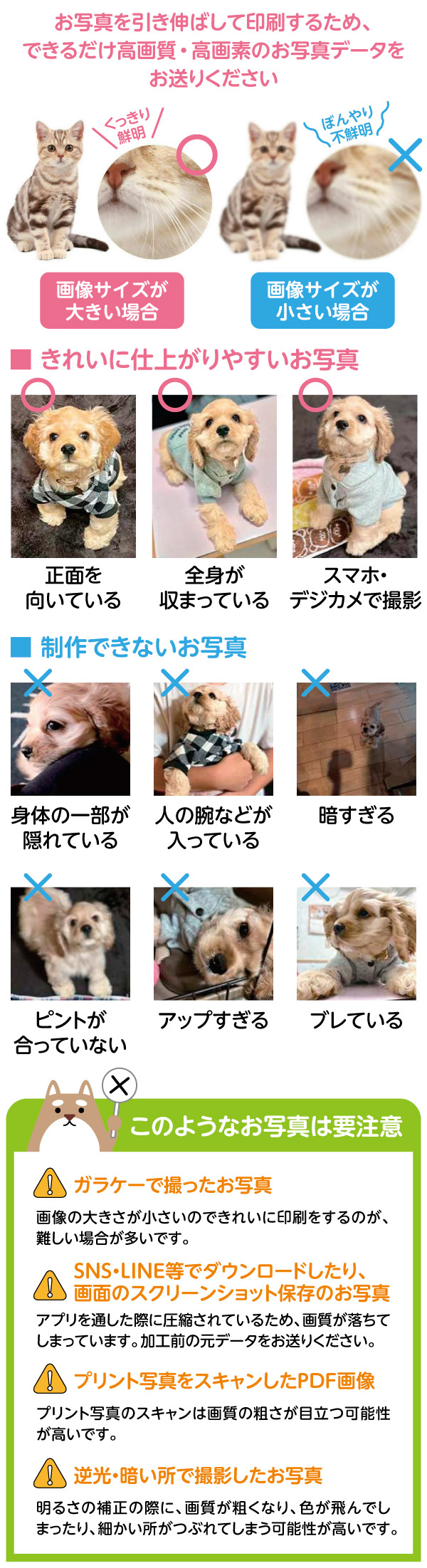 バリエーション