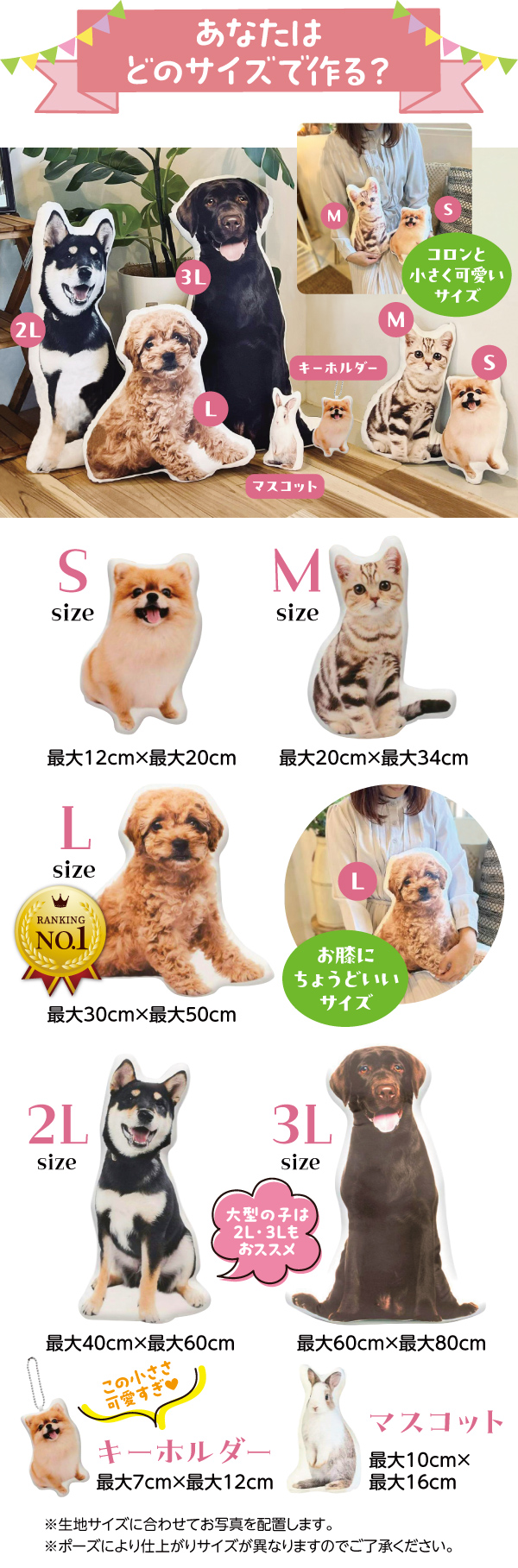 バリエーション