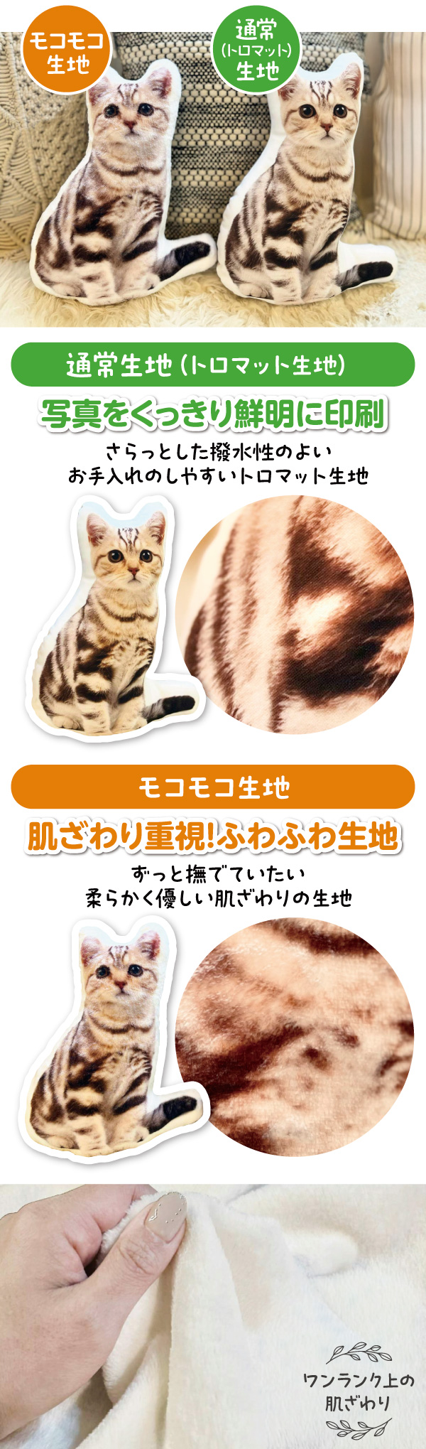 バリエーション
